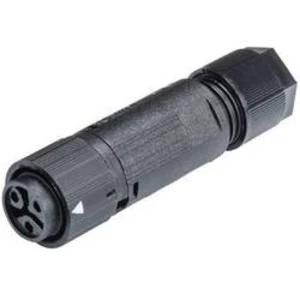 RST® MINI kabelová zásuvka RSTI162/3 Wieland 46.031.4553.1, kulatý faston, Provedení konektoru: spojka, rovná 2 + PE, 1 ks