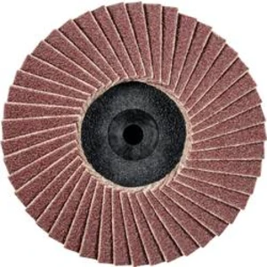 Vějířovitý brusný kotouč PFERD CDR PFF 50 A 120 47202529, Ø 50 mm/