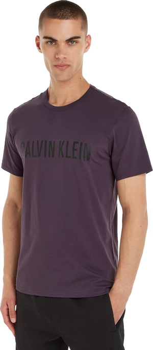 Calvin Klein Pánské triko Regular Fit NM1959E-VE5 M