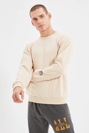 Trendyol Stone Men's Regular/Normal Cut Sweatshirt