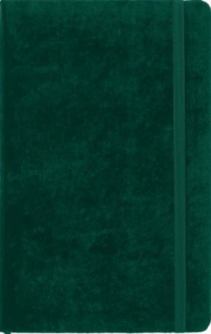 Moleskine Velvet zápisník zelený L