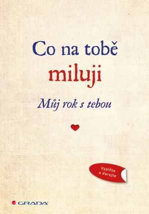 Co na tobě miluji Můj rok s tebou