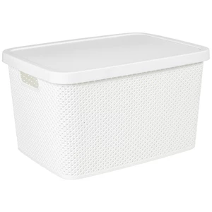 Homeware ÚLOŽNÝ BOX, plast