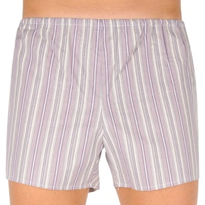 Classic men's shorts Foltýn brown with stripes oversize