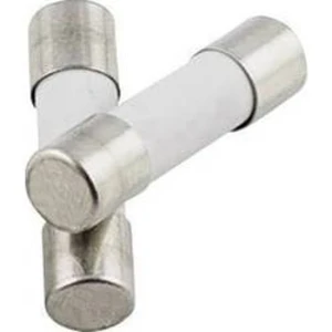 Trubičková pojistka TRU COMPONENTS TC-522707, 1576634, (Ø x d) 5 mm x 20 mm 0.1 A 250 V T pomalá, 1 ks