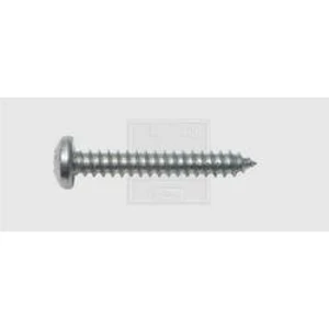 Šroub do plechu SWG N/A, 9.5 mm, ocel, 100 ks