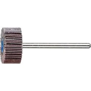 Vějířová bruska NA KŮŇ PFERD 47801528 Průměr 20 mm