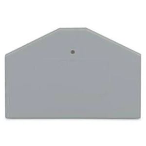 Koncová a oddělovací deska, WAGO 281-312, 61 mm x 2.5 mm x 37 mm , 100 ks