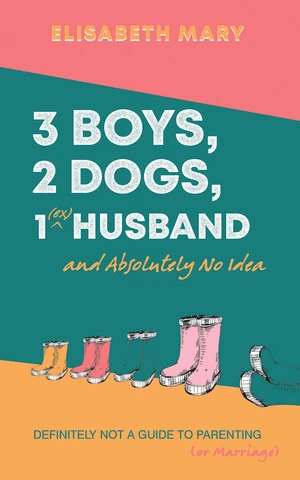 3 Boys, 2 Dogs, 1 (Ex) Husband and Absolutely No Idea