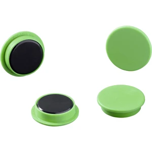 Durable magnet 475205 (Ø) 21 mm guľatý zelená 1 sada 475205