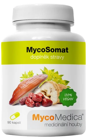 Mycomedica Mycosomat Vegan 500mg 90cps