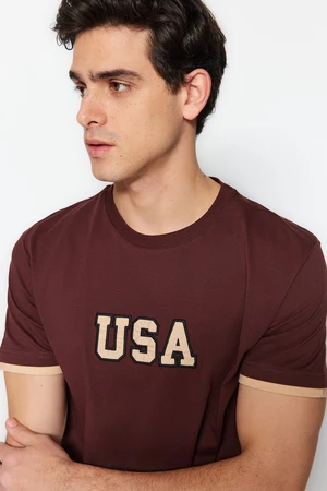 Trendyol barna férfi normál/normál szabású hímzés részlet színes blokk 100% pamut póló.