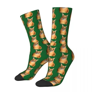 Big Floppa Socks Men Women Casual Socks Novelty Spring Summer Autumn Winter Middle Tube Socks Gifts
