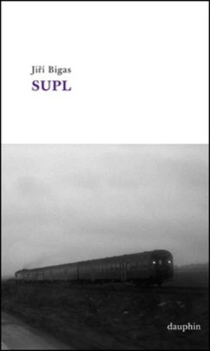 Supl - Jiří Bigas