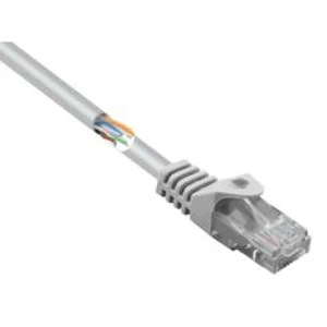 Síťový kabel RJ45 Basetech BT-1717487, CAT 5e, U/UTP, 15.00 cm, šedá
