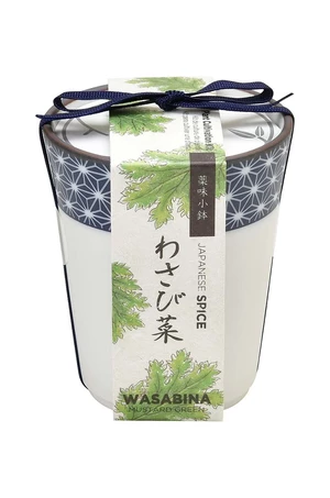 Sada na pestovanie rastlín Noted Yakumi, Wasabina
