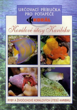 Korálové útesy Karibiku - Lawson Wood