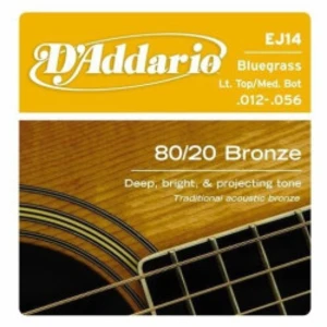 D'addario Ej14