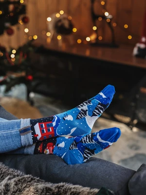 Calzini originali Frogies Winter Story