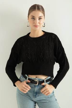 Lafaba Women's Black Crew Neck Openwork/Perforated Knitwear Sweater
