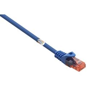 Síťový kabel RJ45 Basetech BT-2270716, CAT 6, U/UTP, 25.00 cm, modrá