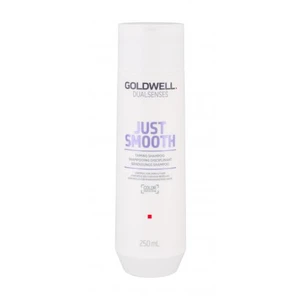 Goldwell Dualsenses Just Smooth 250 ml šampon pro ženy na nepoddajné vlasy