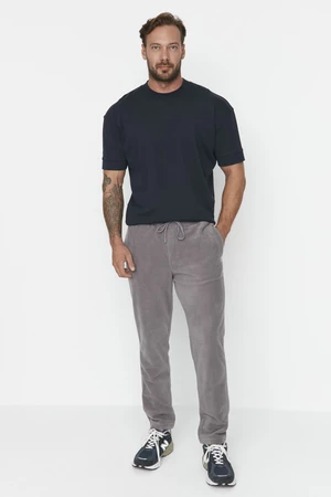 Trendyol Gray Men's Regular/Normal Cut Label Appliqued Rubber Leg Sweatpants