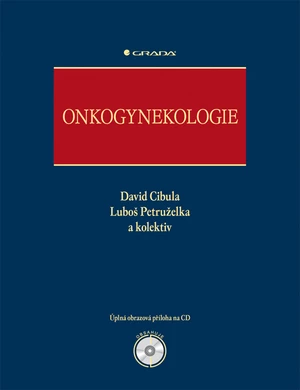 Onkogynekologie, Cibula David