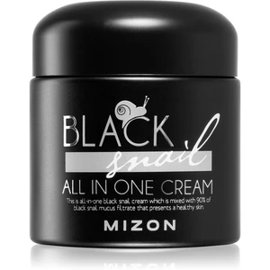 Mizon Black Snail All in One pleťový krém s filtrátom sekrétu zo slimáka 90% 75 ml