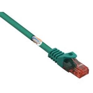 Síťový kabel RJ45 Basetech BT-1719382, CAT 6, U/UTP, 25.00 cm, zelená