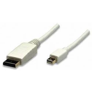 DisplayPort kabel Manhattan [1x mini DisplayPort zástrčka - 1x zástrčka DisplayPort] bílá 2.00 m