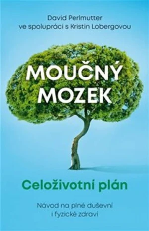 Moučný mozek: Celoživotní plán - David Perlmutter