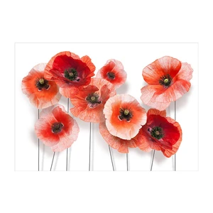 Veľkoformátová tapeta Artgeist Nine Poppies, 200 x 140 cm