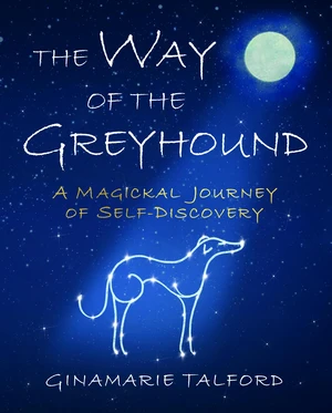 the Way of the Greyhound