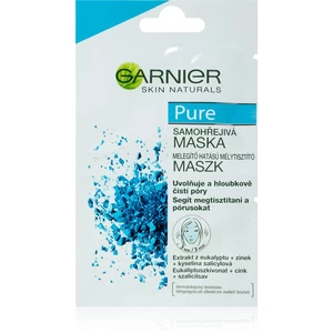 Garnier Pure pleťová maska pro problematickou pleť, akné 2x6 ml