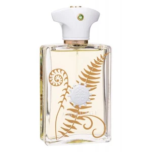 Amouage Bracken Man 100 ml parfumovaná voda pre mužov