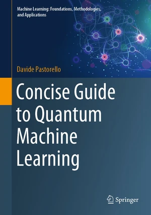 Concise Guide to Quantum Machine Learning