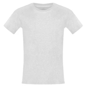 Wojas Basic Pánské Tričko S Krátkým Rukávem V Šedé Barvě