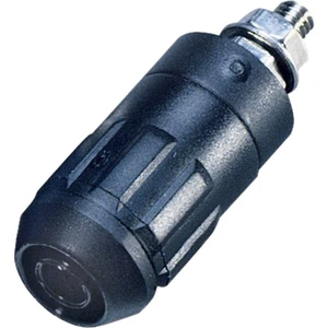 Stäubli XUB-G zdierka pre banánik zásuvka, vstavateľná vertikálna Ø pin: 4 mm čierna 1 ks