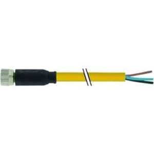Neupravený zástrčkový konektor pro senzory - aktory Murr Elektronik 7000-08041-0300500 5.00 m, 1 ks