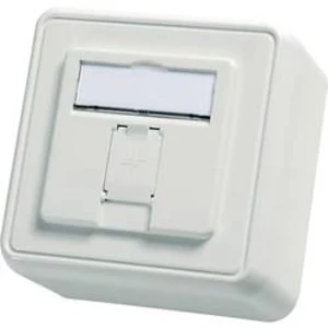 Síťová zásuvka na omítku nevybavený specifikací Telegärtner H02000A0090, 1 port, alpská bílá