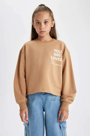 DEFACTO Regular Fit Crew Neck Sweatshirt