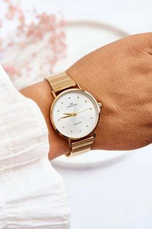 Women's waterproof analog watch bracelet Giorgio&Dario gold-silver