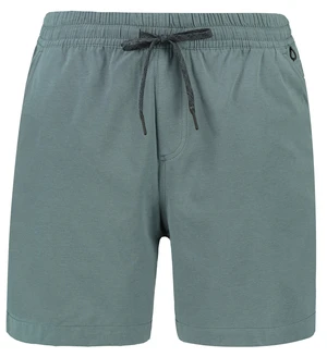 Men's shorts Quiksilver TAXER HEATHER AMPHIBIAN 18