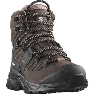 Salomon Quest 4 GTX EU 38 ⅔, Shopping Bag/Black/Cork Dámské boty