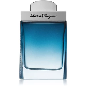 Salvatore Ferragamo Subtil Pour Homme toaletní voda pro muže 50 ml