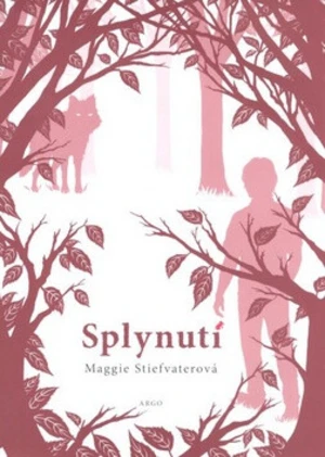 Splynutí - Maggie Stiefvaterová