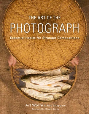 The Art of the Photograph