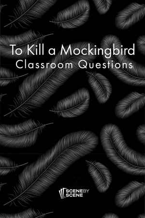 To Kill a Mockingbird Classroom Questions