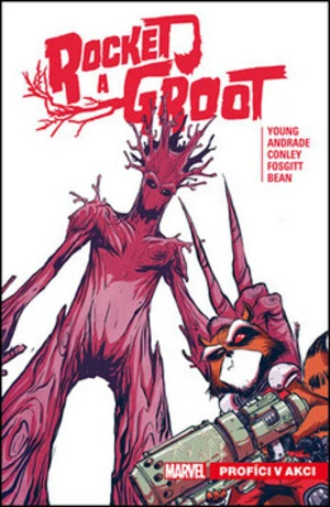 Rocket a Groot Profíci v akci - Skottie Young